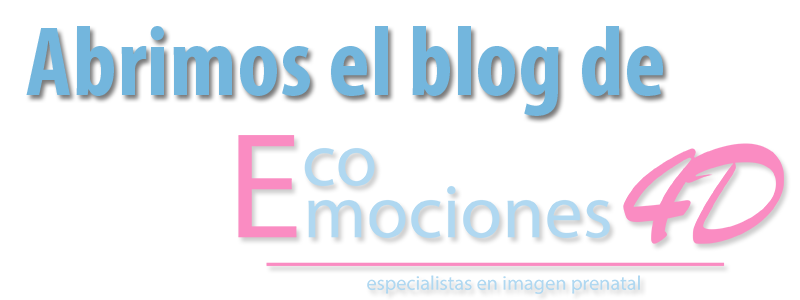 Ecomociones4D abre su nuevo blog